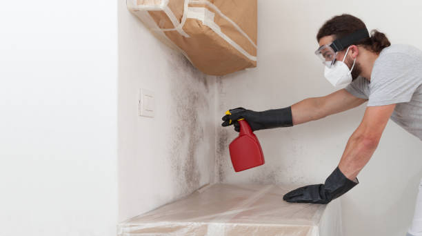 Professional Mold Testing technician working in Kearny, NJ