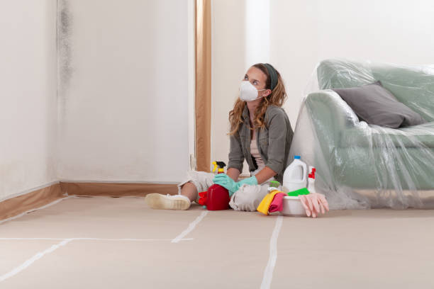 Reliable Mold Remediation contractor in Kearny, NJ by Cheap Mold Removal